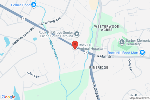 Rock Hill Animal Hospital