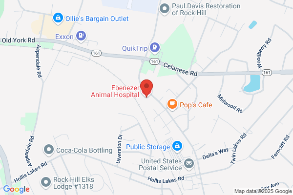 Ebenezer Animal Hospital