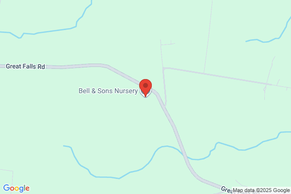 Bell & Sons Nursery