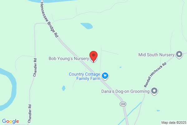 Young Bob Jr Nursery