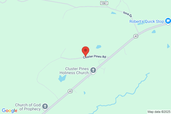 Cluster Pines