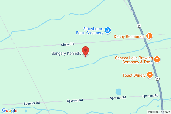 Sangary Kennels
