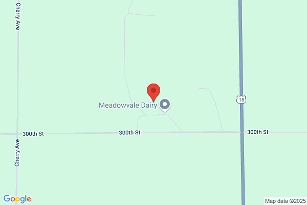 Ysselstein Dairy