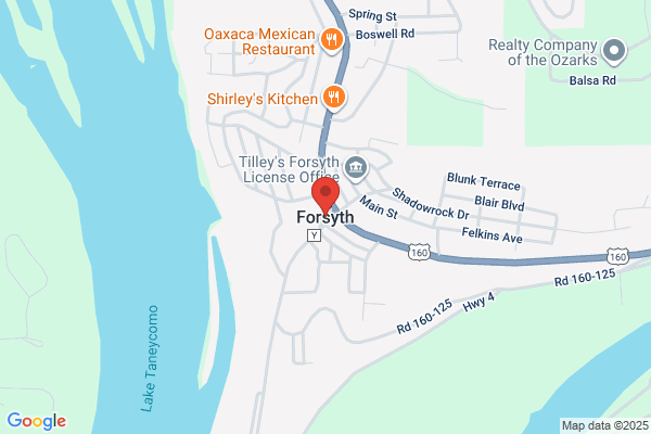 Forsyth, Library