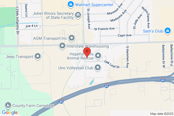 Independent Forms Services Inc