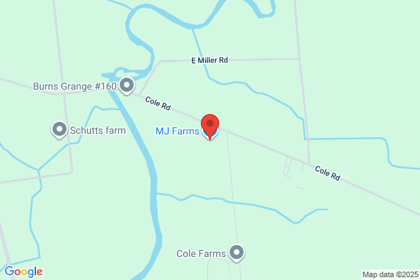 Ott Mark M & J Farms Inc
