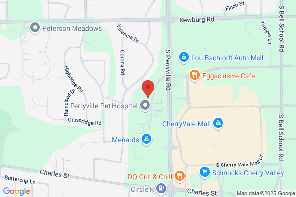 Forest City Dental
