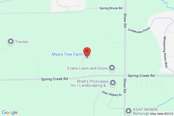 Myers Tree Farm