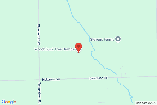 WoodChuck Tree Service