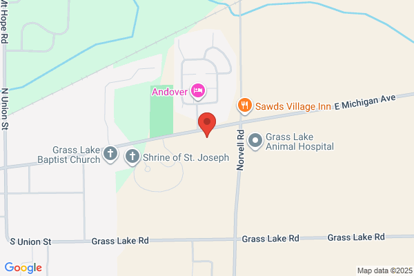 Grass Lake Dental