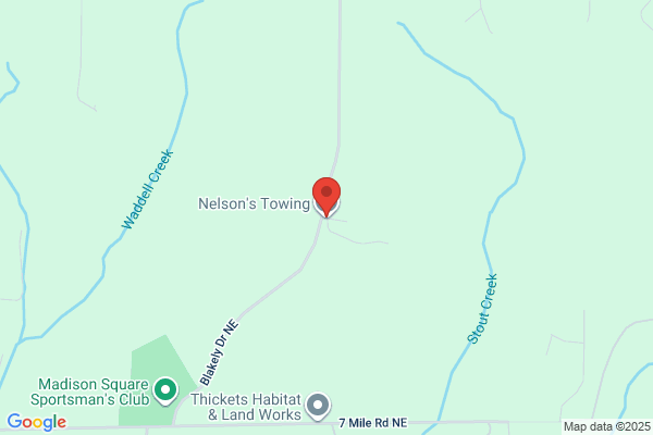 Nelson's Towing Service