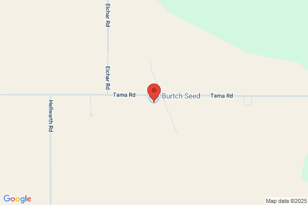 Burtch Seed Co