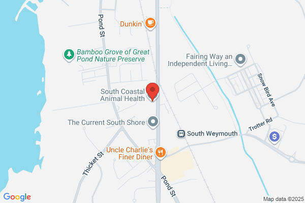 South Coastal Animal Health
