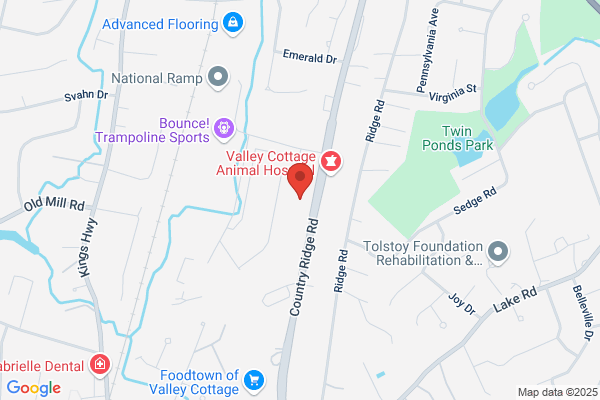 Route 18 Auto Body, Inc.