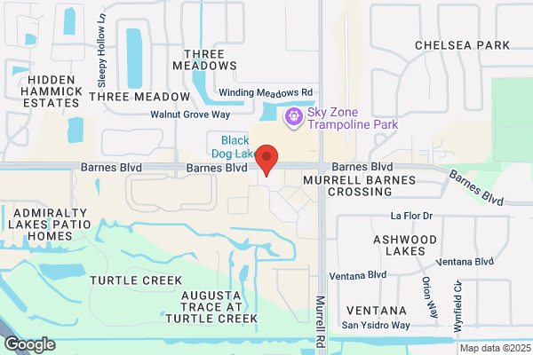 AutoZone Auto Parts