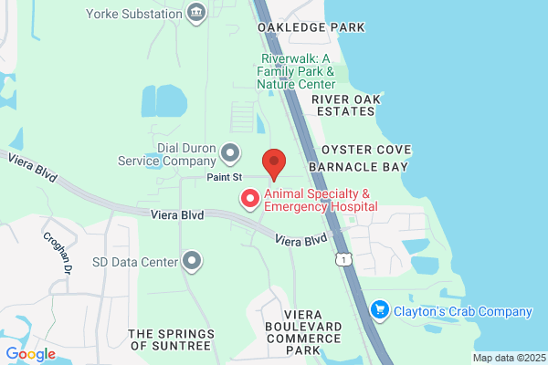 CDS Plumbing Inc
