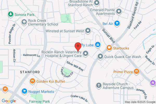 Cota Chiropractic