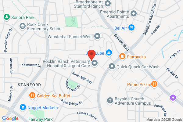Elenberger Orthodontics