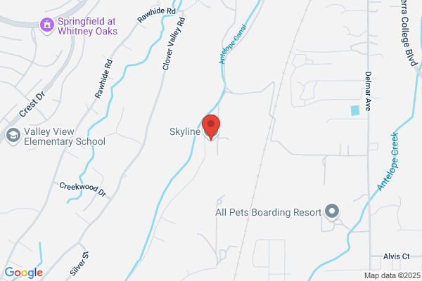 Skyline - Closed