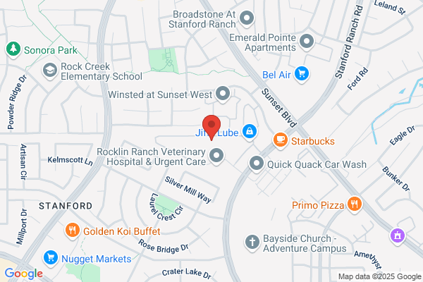 Risk Placement Services