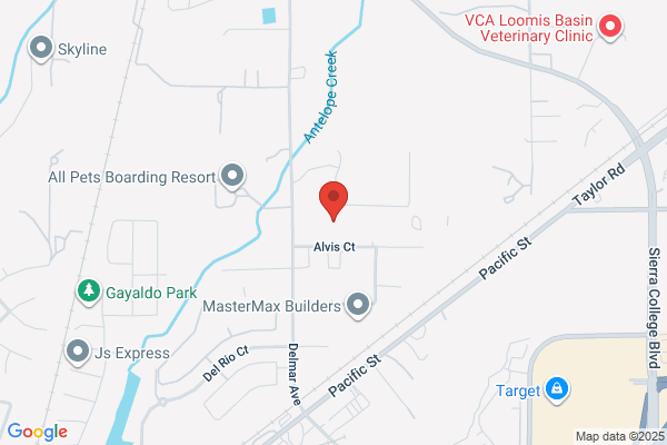 Roto-Rooter Plumbing & Drain Service