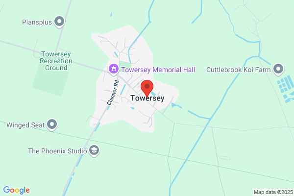Towery's