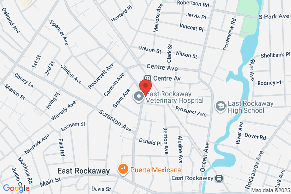 Eastrockawaynursery