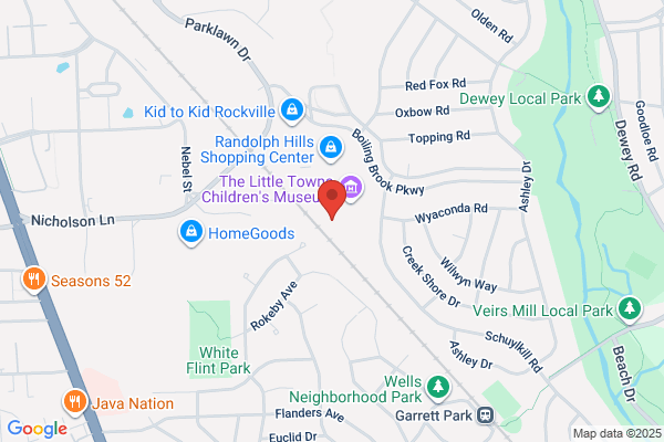 Parts Automotive Inc