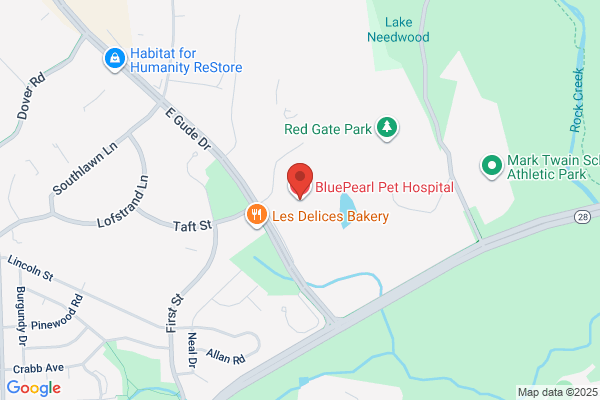 BluePearl Pet Hospital