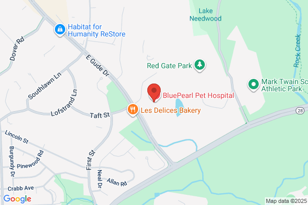 Bush Veterinary Neurology Service (BVNS) - Rockville