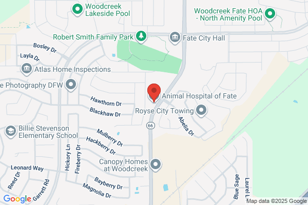 Animal Hospital Of Fate