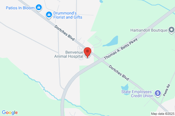 Benvenue Animal Hospital