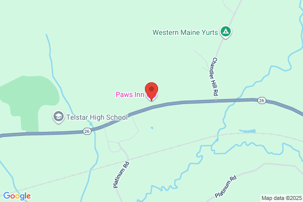 Paws Inn