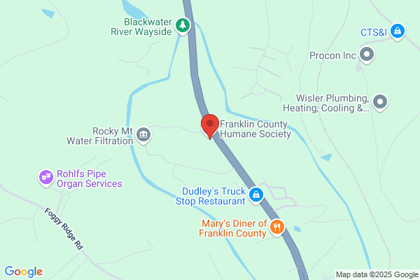 Planned Pethood Clinics