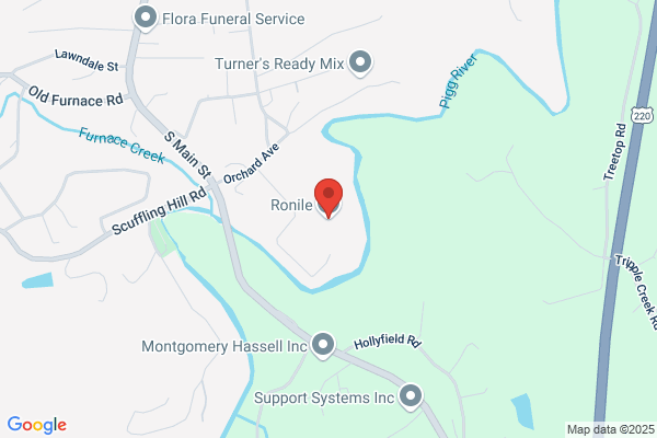 Ronile Inc