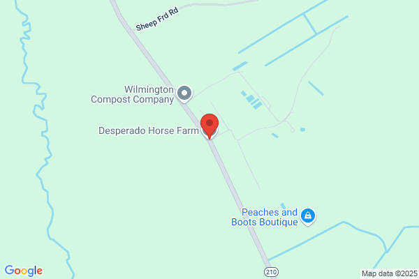 Desperado Trail Rides