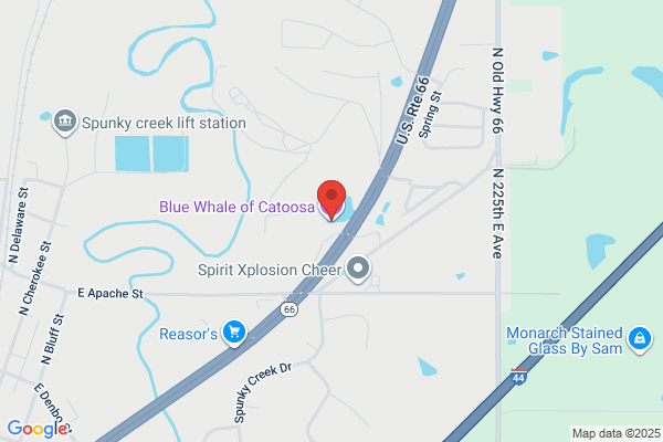 Blue Whale the