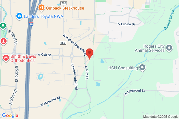 Chastain Steve Co Inc