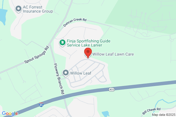 Willow Leaf Lawn Care