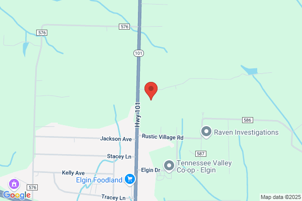 Elgin Auto Repair