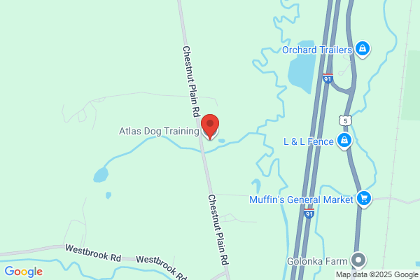 Atlas Dog Training