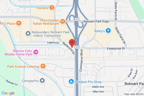 Pine Tree Service