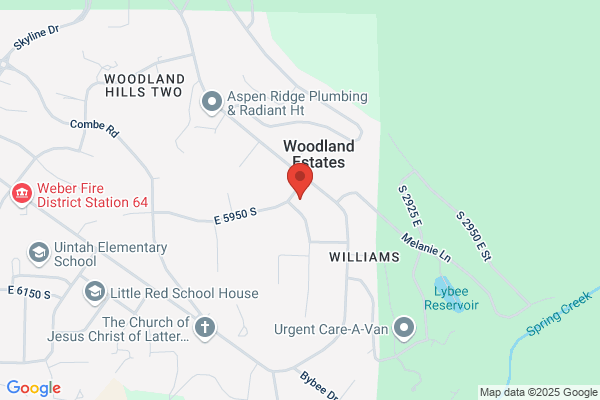 All-Wood's Tree Service