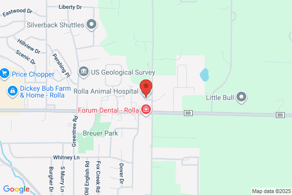 Rolla Animal Hospital