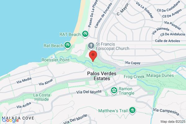 Palos Verdes Water Polo Club
