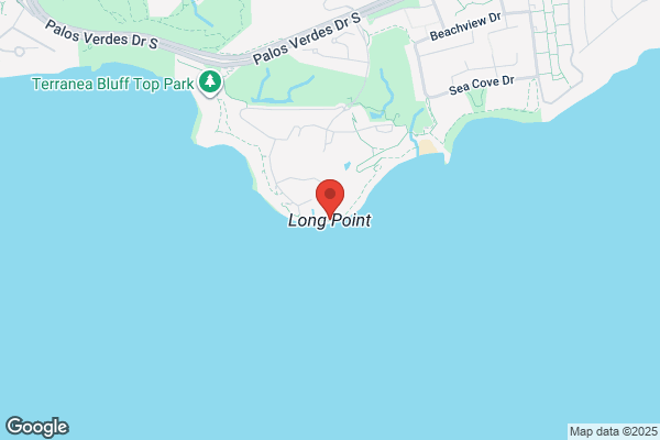 Ddc Long Point Management Inc