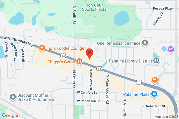 Palatine Wellness Group