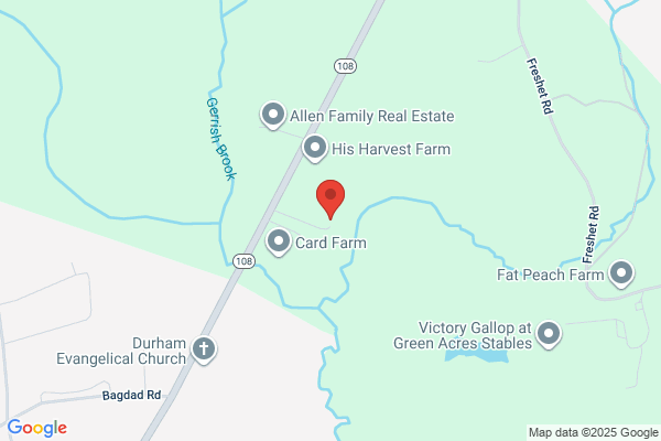 Mill River Custom Framing & Art Gallery
