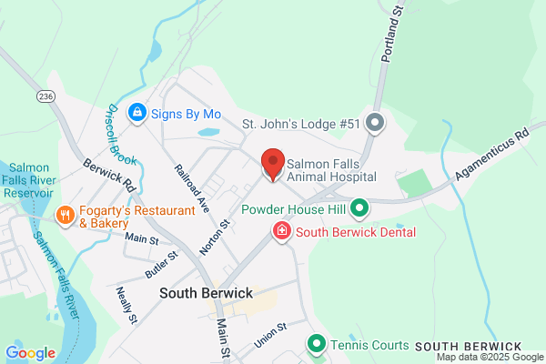 South Berwick Veterinary Hospital