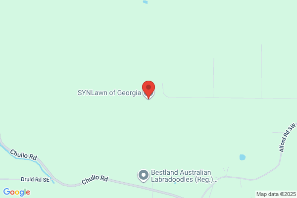 SYNLawn of Georgia